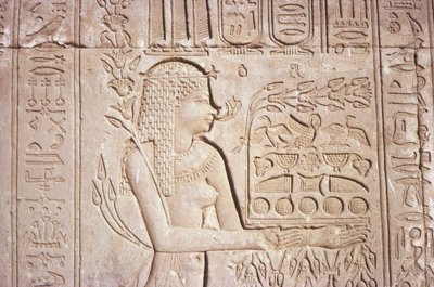 Intricate Wall Carvings, Temple of Hathor, Dendara, Egypt by Unknown